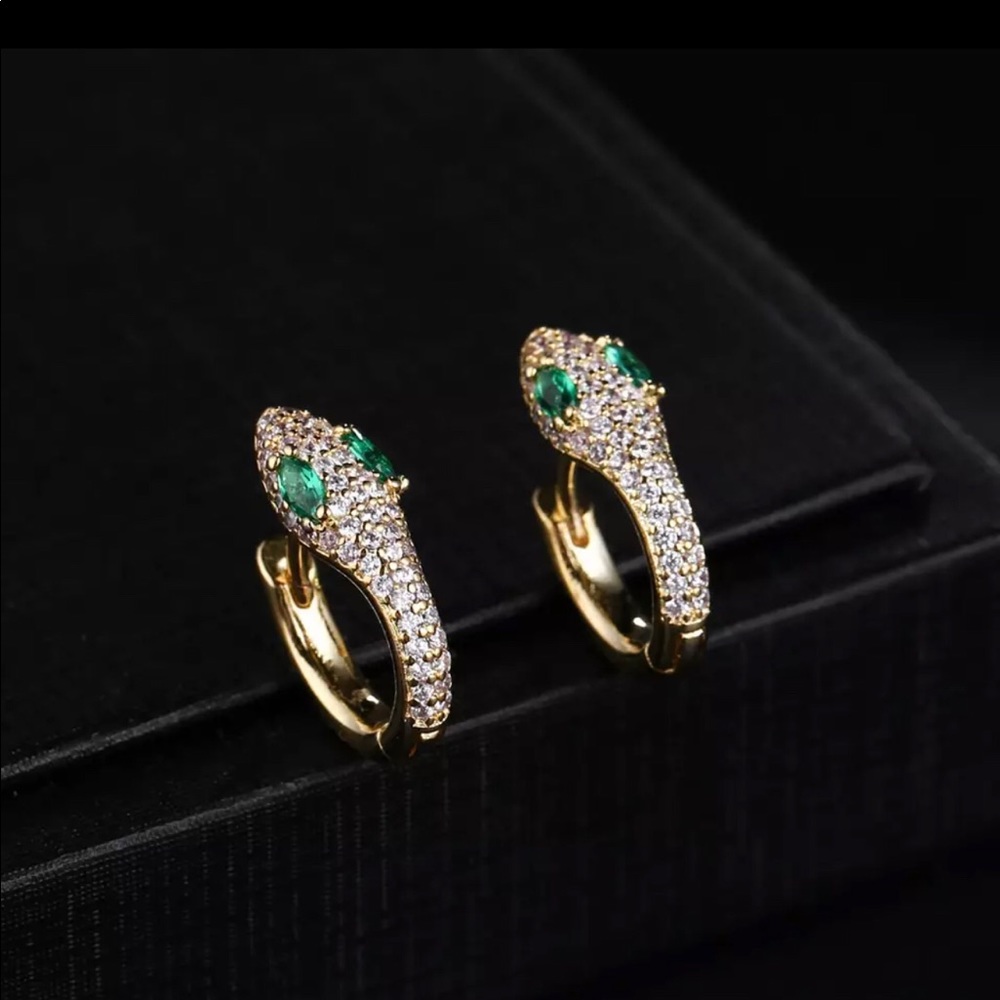 🐍 Snake mini hoop earrings